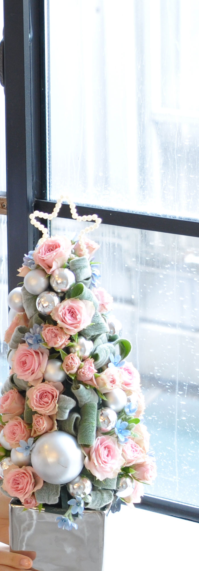 [￹]ũ -Jolly holly  ɹ