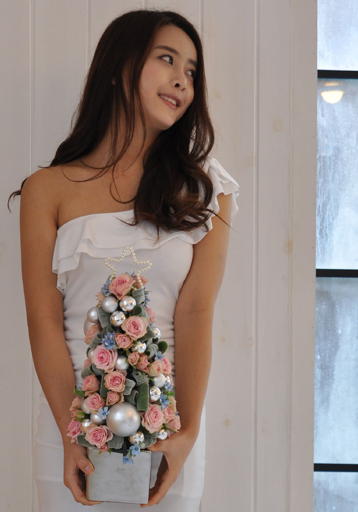 [￹]ũ -Jolly holly  ɹ