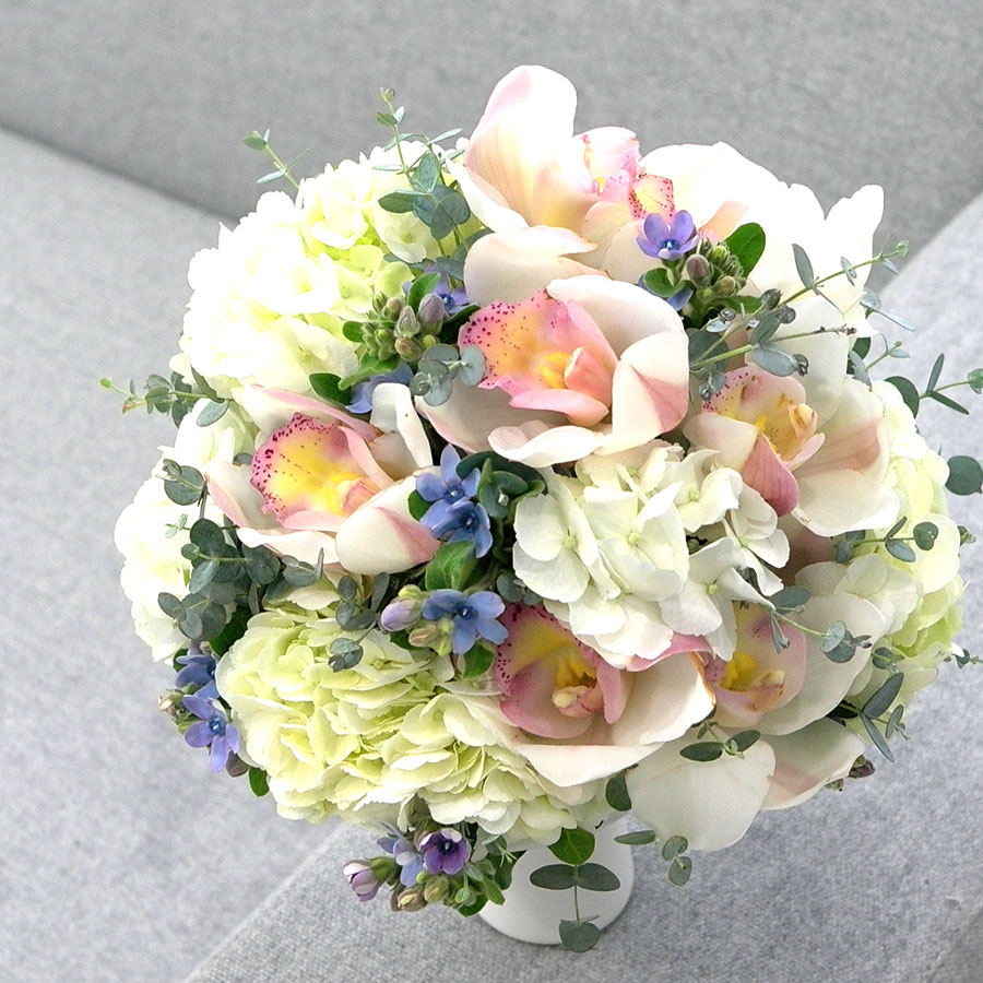 [] (LesMiserables)-Stars  ɹ