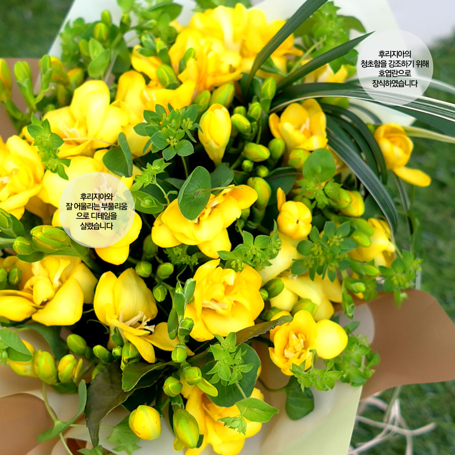 ŭ ܿ  - Delicious yellow  ɹ