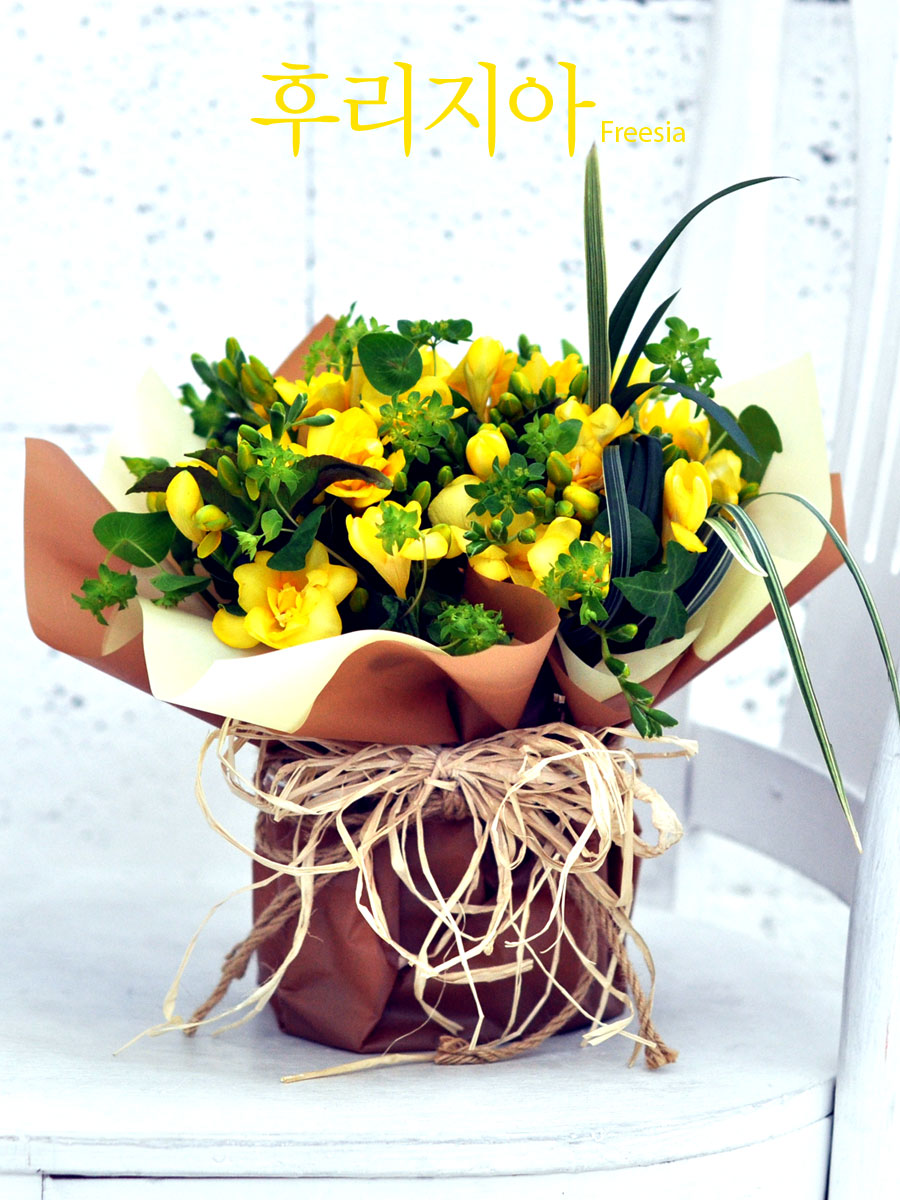 ŭ ܿ  - Delicious yellow  ɹ