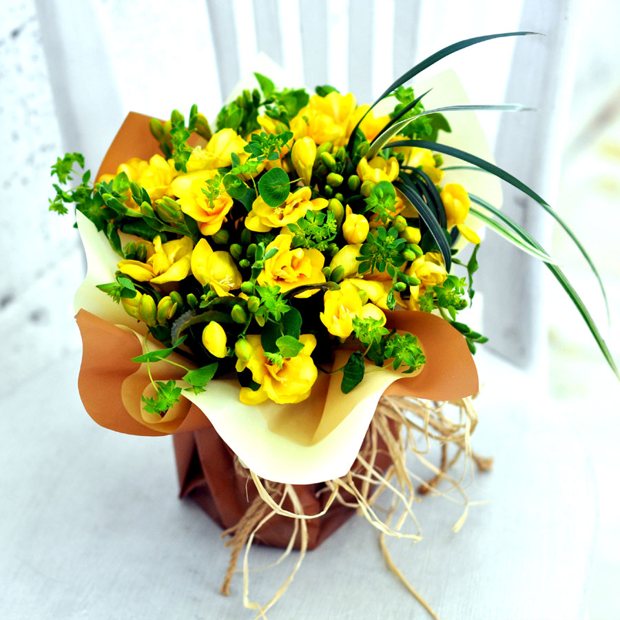 ŭ ܿ  - Delicious yellow  ɹ