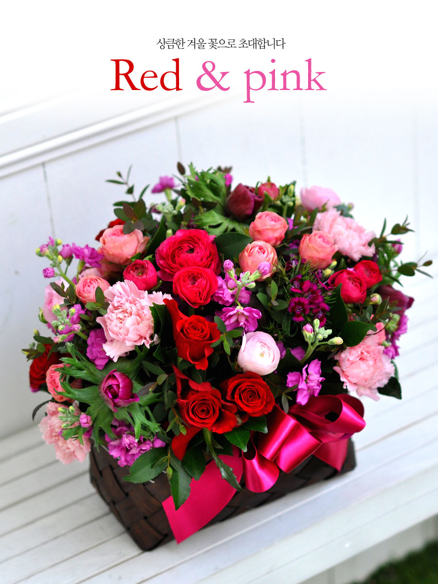 [] ŭ ܿ  - Red & pink  ɹ