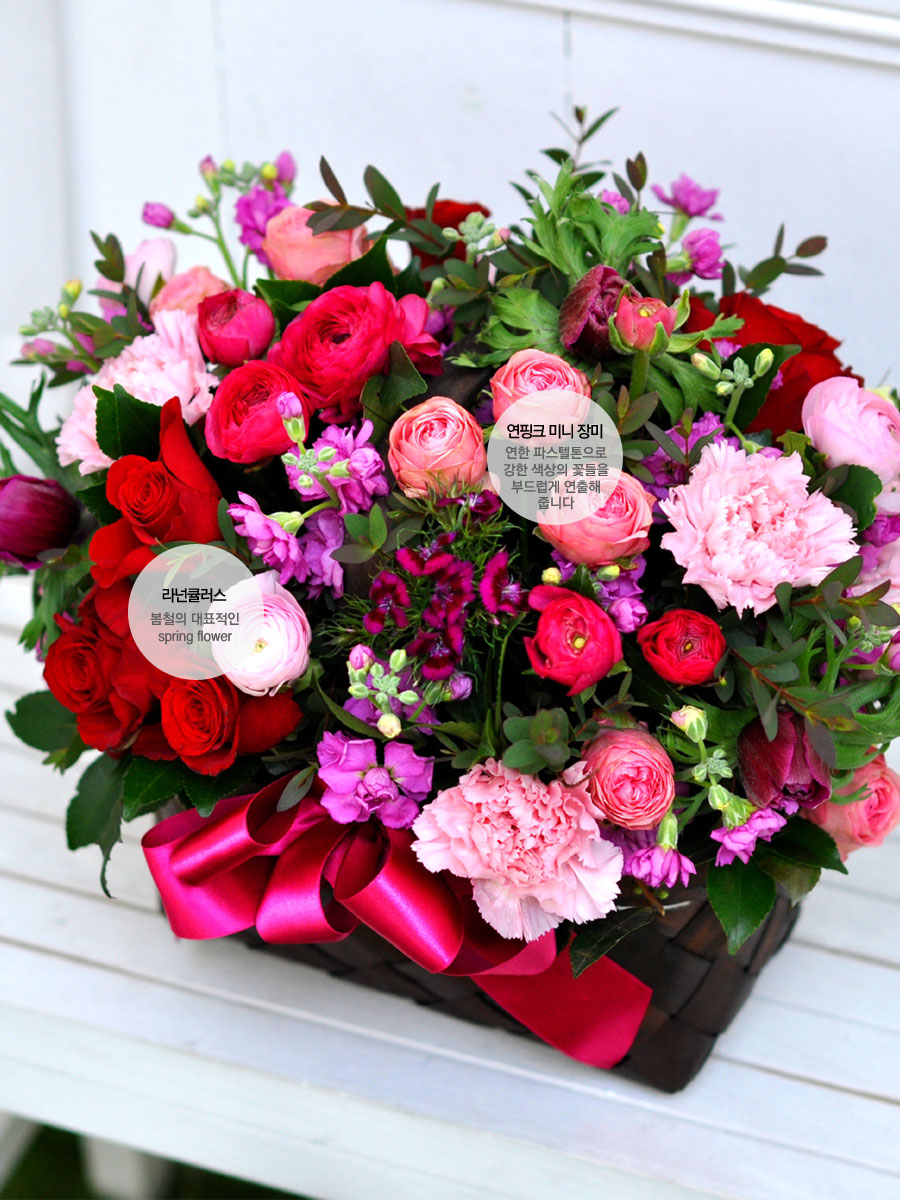 [] ŭ ܿ  - Red & pink  ɹ