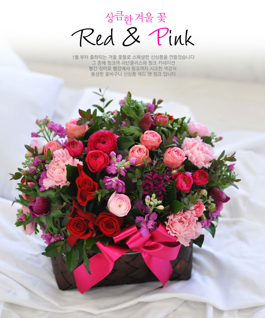 [] ŭ ܿ  - Red & pink  ɹ