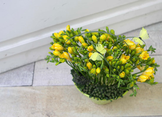 »óÅÇÑ °Ü¿ï²É-³ë¶û³ªºñ