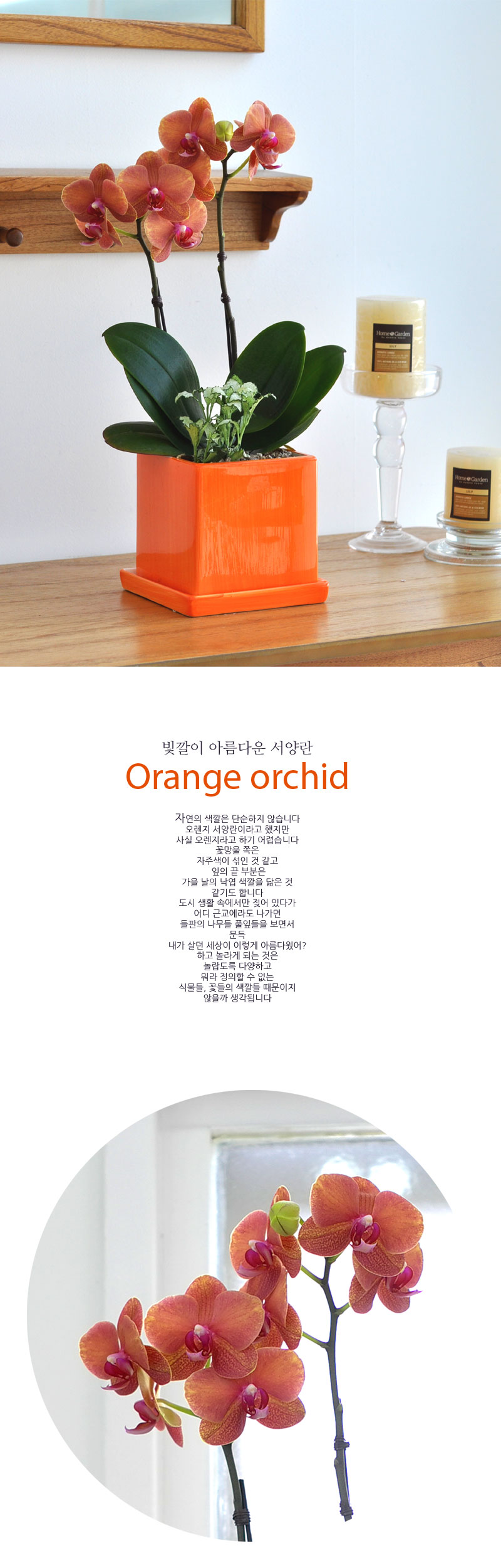 簢ȭ Ȳȣ/ 簢ȭ   ɹ