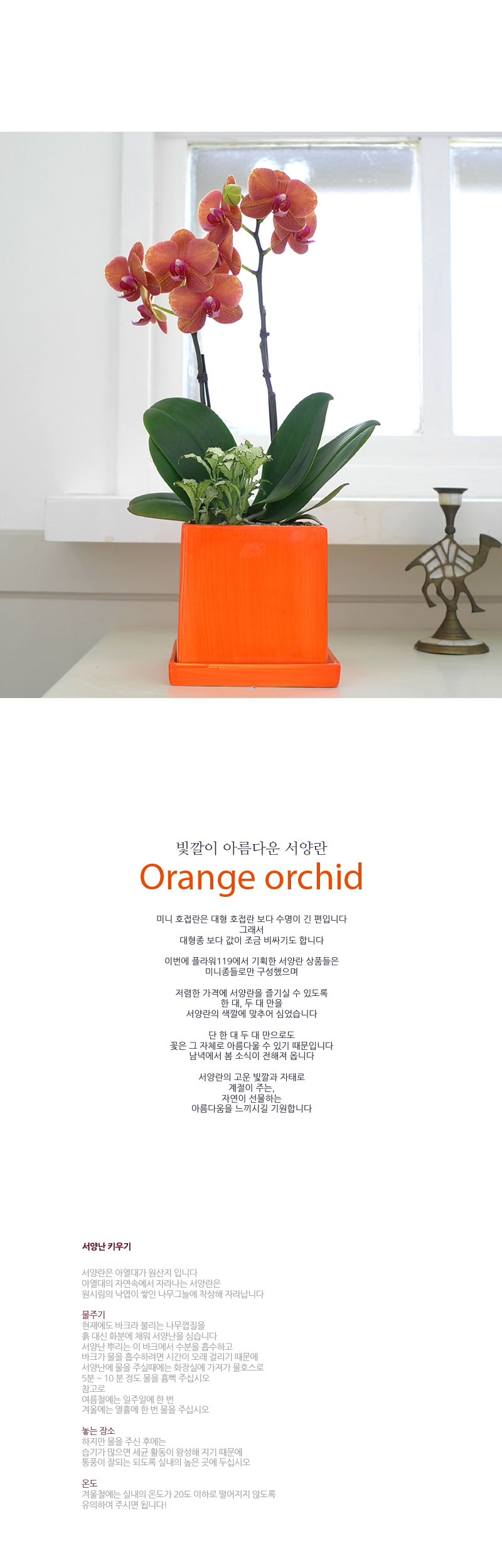 簢ȭ Ȳȣ/ 簢ȭ   ɹ