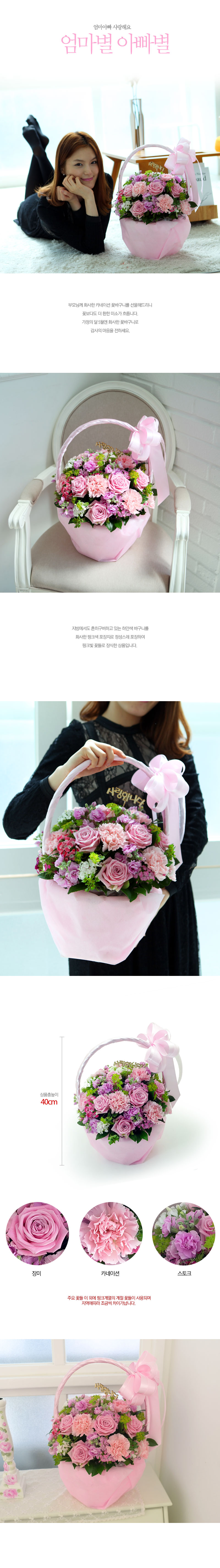 []   5 - Romantic carnation  ɹ