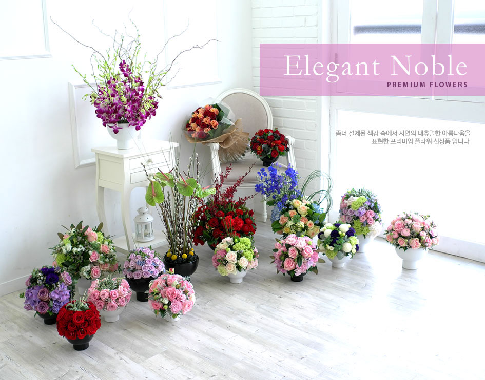 [] Elegant noble III - My romance