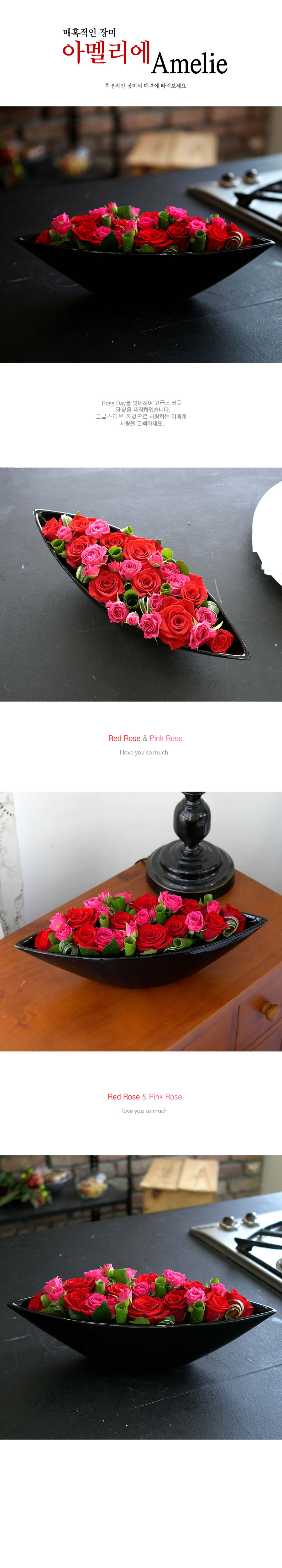 [] Ȥ - ƸḮ(Amelie)(ȭ   ֽϴ)  ɹ