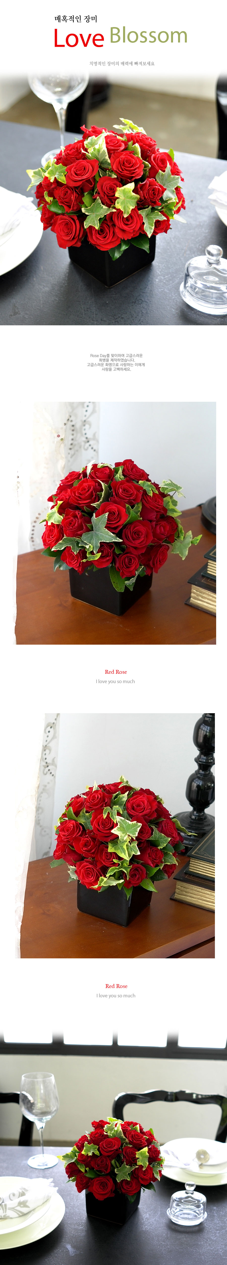 [] Ȥ - Love blossom()