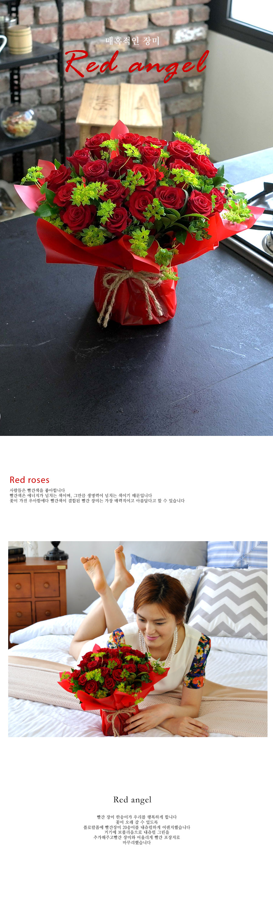 []Ȥ - Red Angel  ɹ