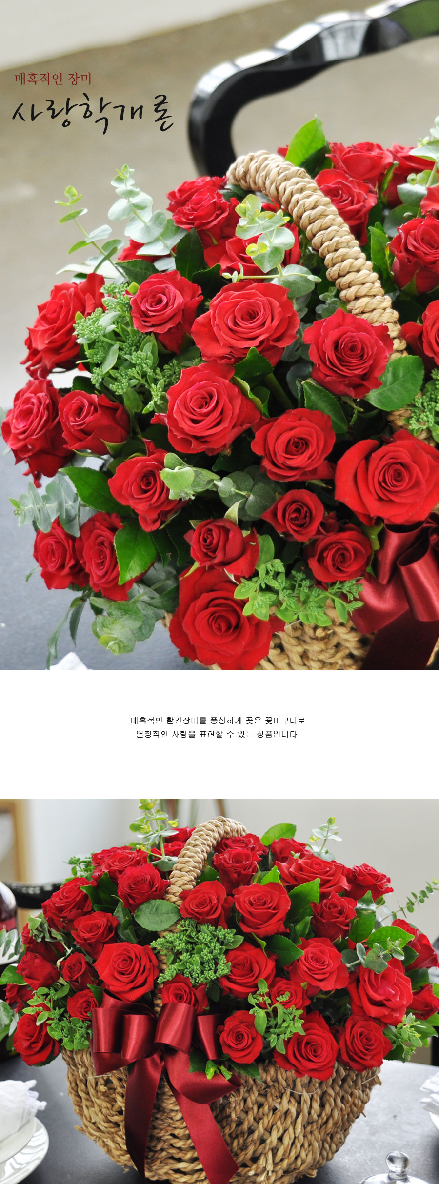 [] Ȥ - а (*Ϻ ٱ  ɼ )  ɹ