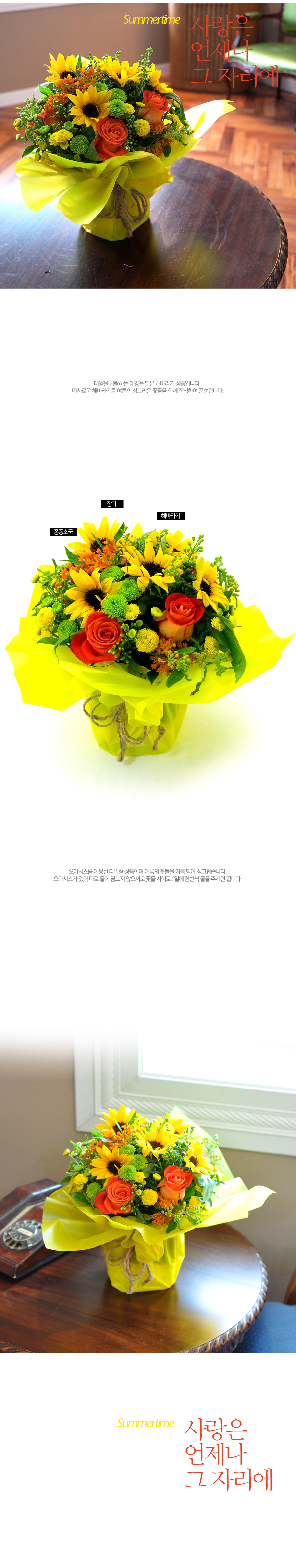 Summer time -    ڸ  ɹ