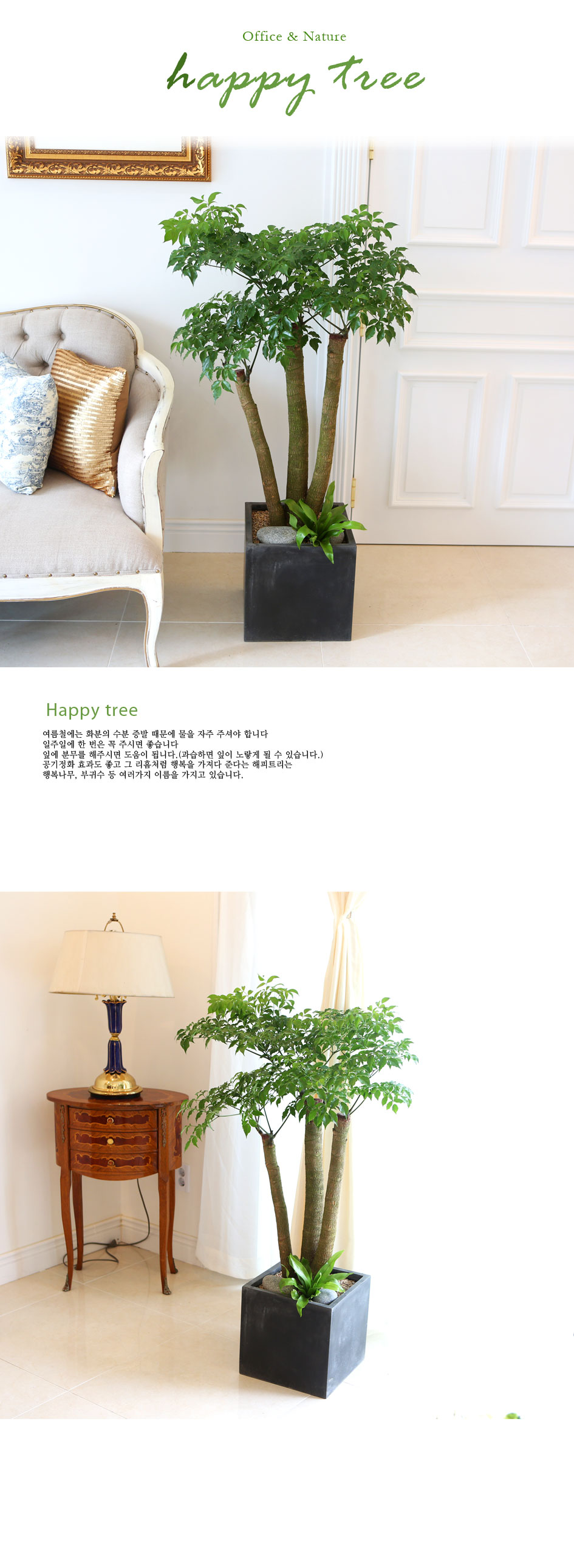 Office&Nature - FRPȺÐÀÇ ÇØÇÇÆ®¸®ÓÞ ²ÉÁý ²É¹è´Þ