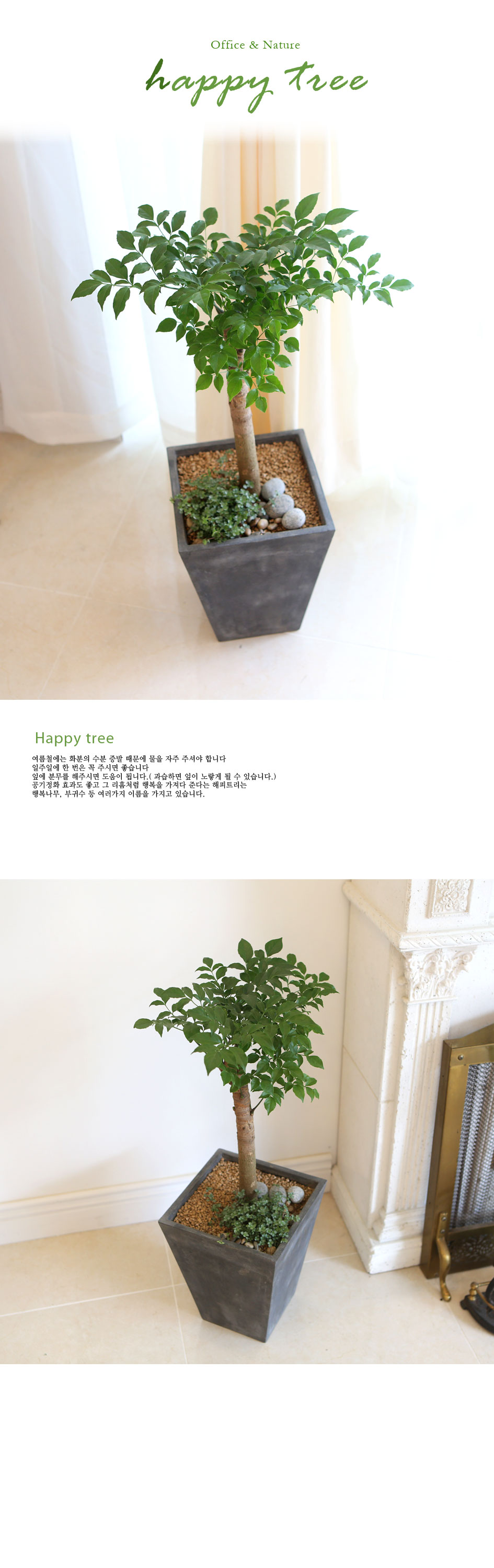 Office&Nature - FRPȺÐÀÇ ÇØÇÇÆ®¸®á³ ²ÉÁý ²É¹è´Þ