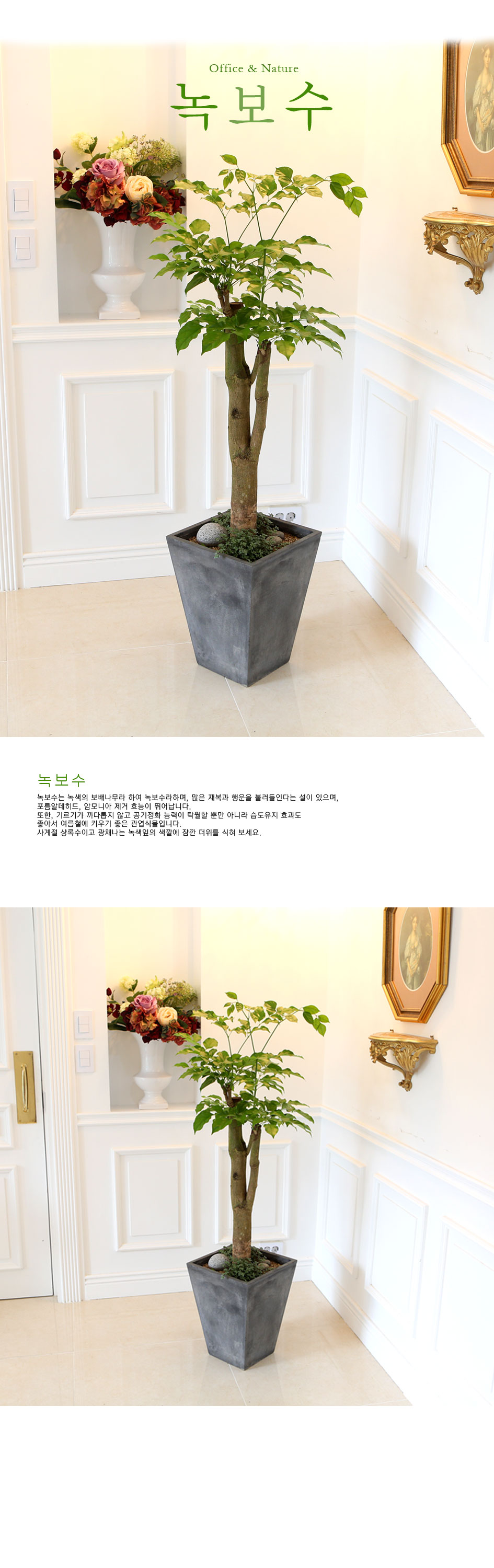 Office&Nature - FRPȭ 캸  ɹ