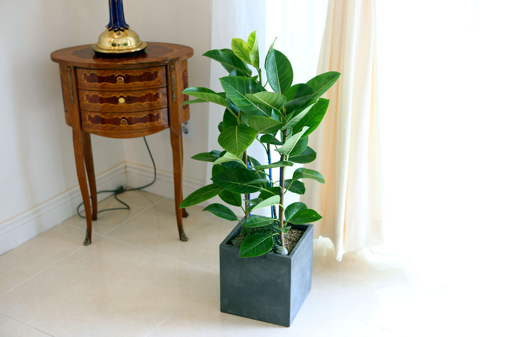 Office&Nature - FRPȺÐÀÇ ¹ð°¥°í¹«³ª¹«