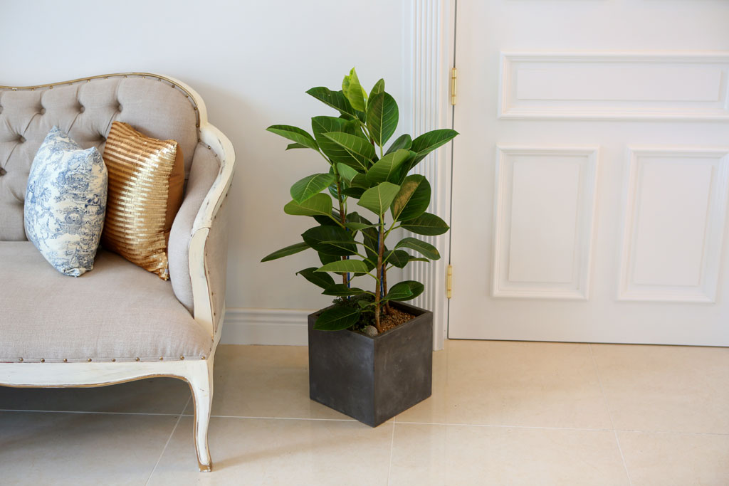 Office&Nature - FRPȺÐÀÇ ¹ð°¥°í¹«³ª¹«