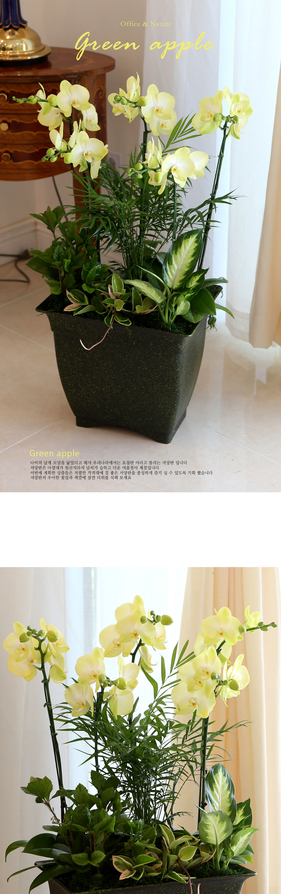 [Office & Nature] ׸ ()