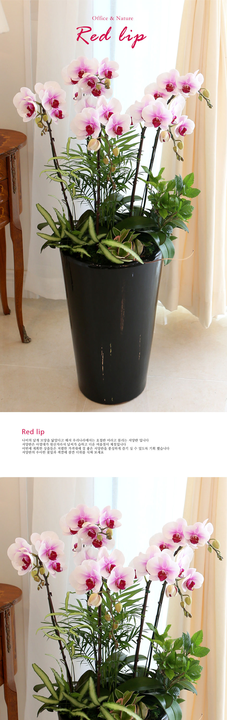 Office&Nature - Ͼ Ʈ 帳