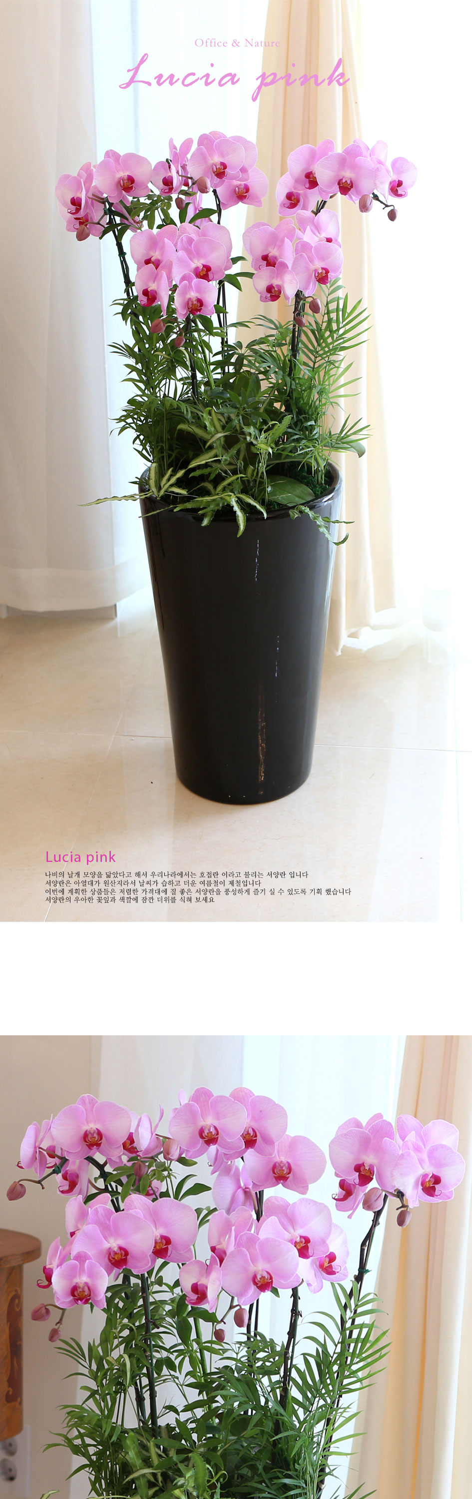 Office&Nature -   ˳ ġũ ()  ɹ