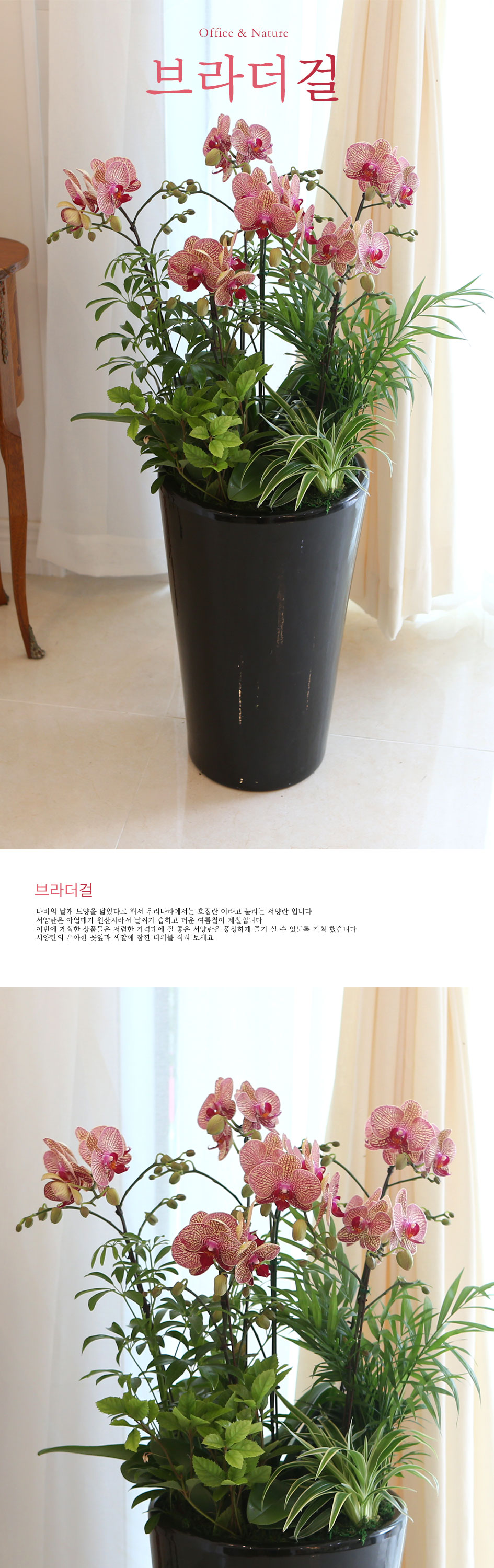 Office&Nature - ̰ ŷ   ɹ