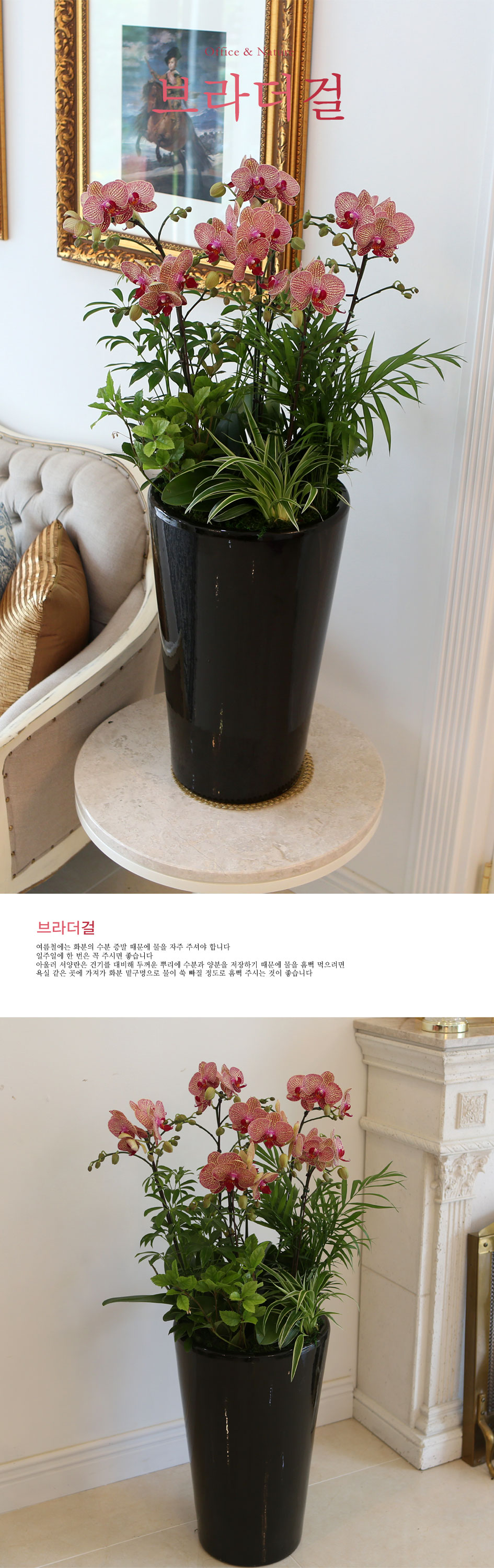 Office&Nature - ̰ ŷ   ɹ