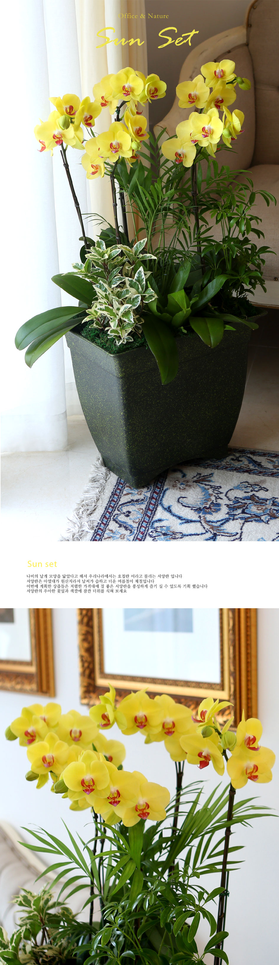 Office&Nature -   ȣ   ɹ