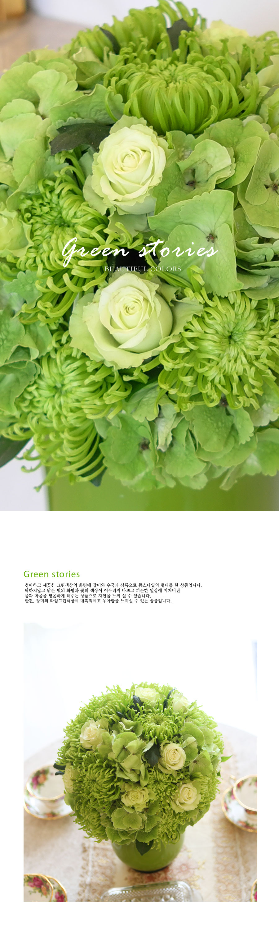 [] Beautiful colors - green stories  ɹ