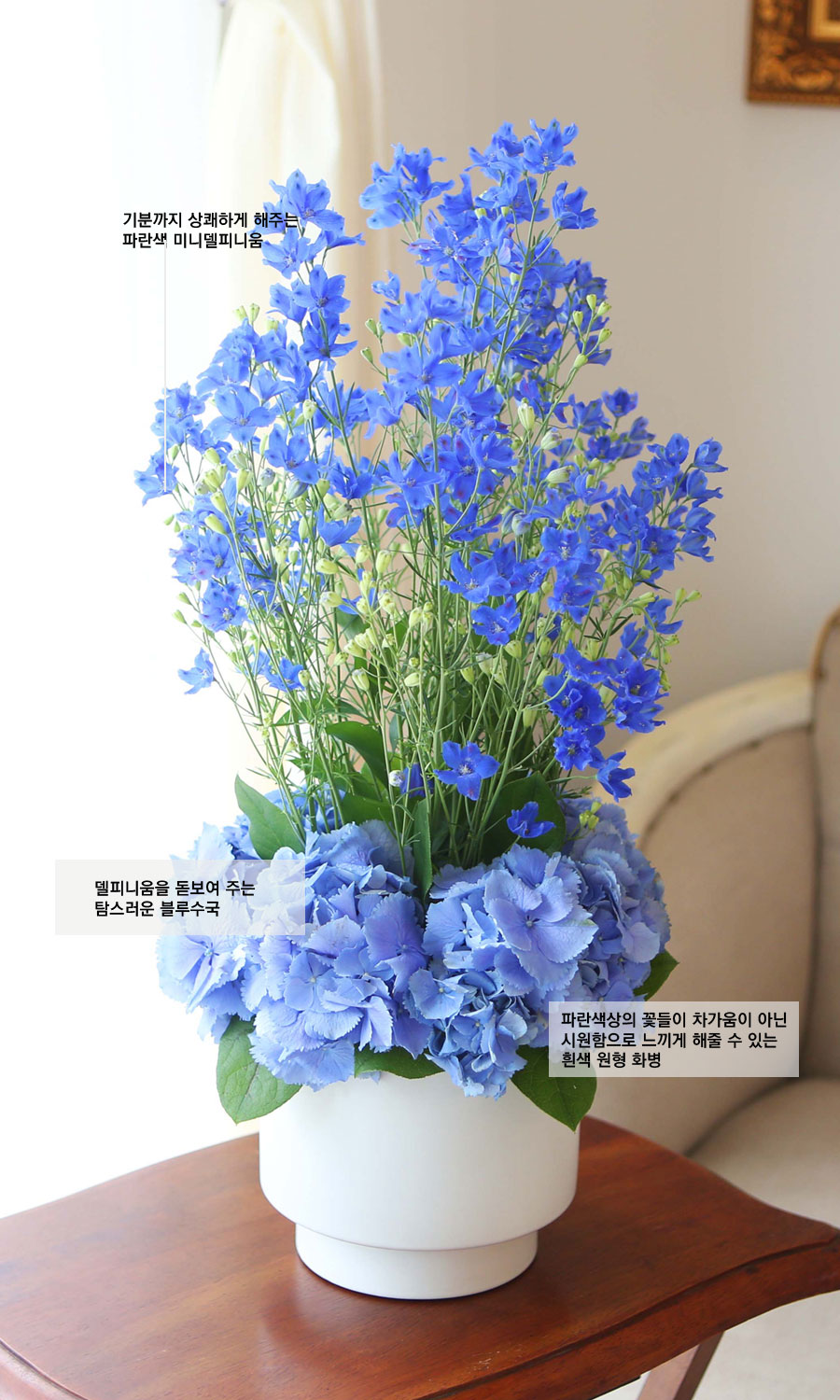 [] Beautiful colors - Silky Delphinium