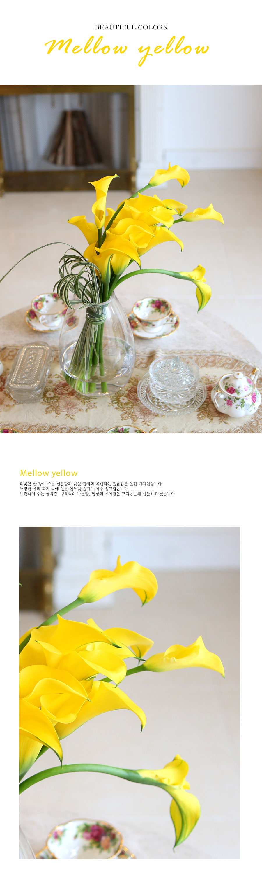 [] Beautiful Colors - mellow yellow  ɹ