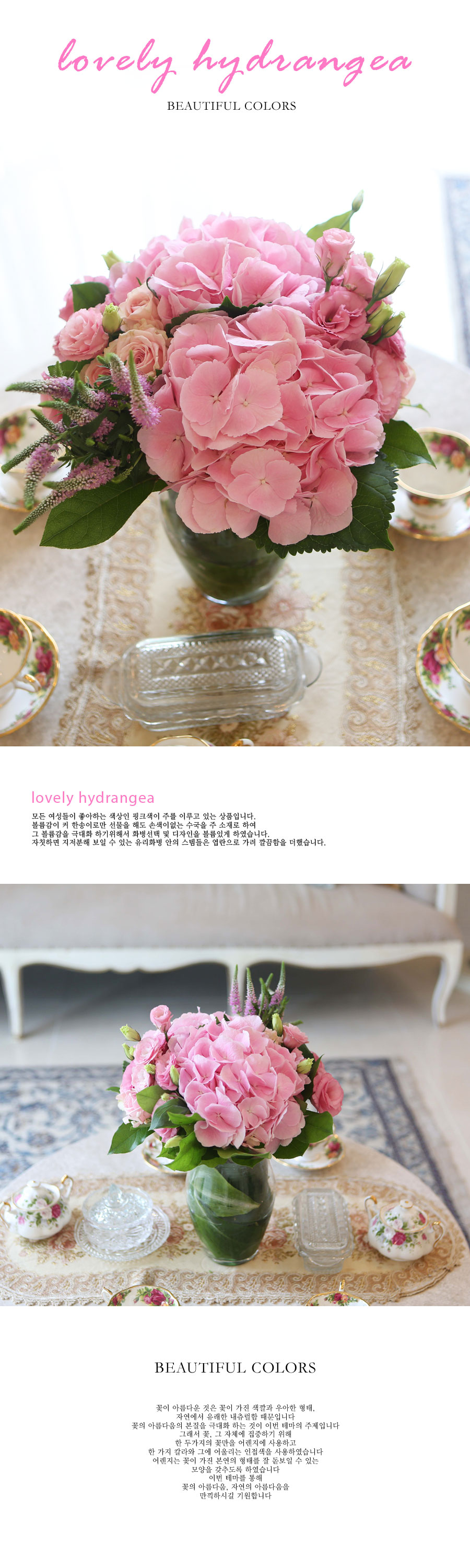 [] Beautiful colors - lovely hydrangea  ɹ