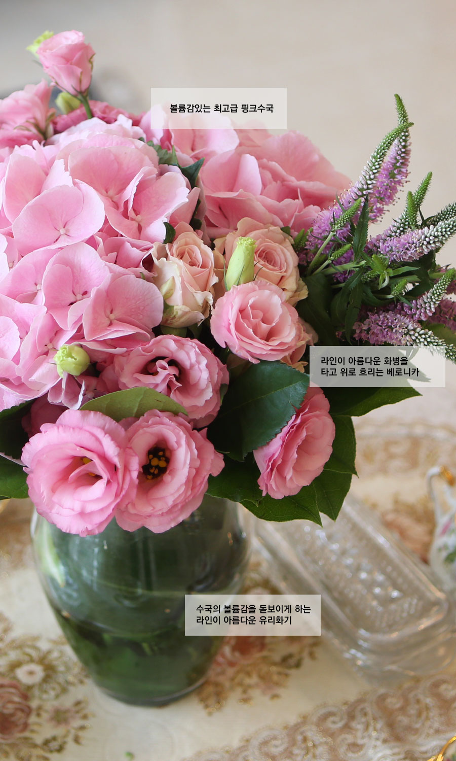 [] Beautiful colors - lovely hydrangea  ɹ