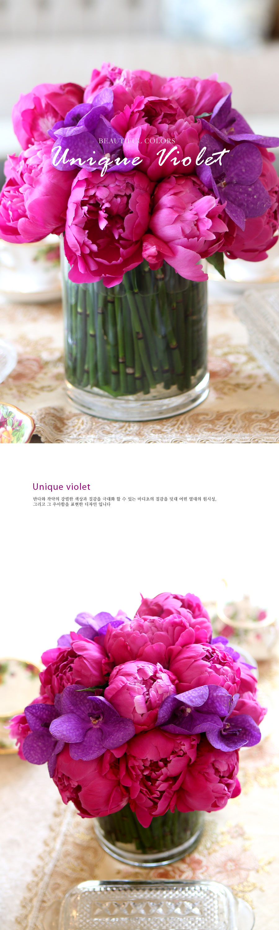 [￹] Beautiful colors - Violet unique  ɹ