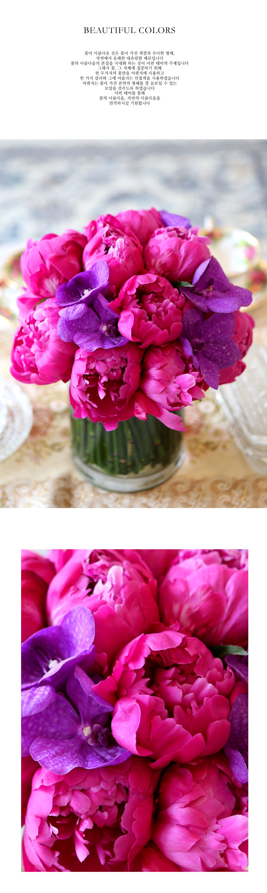 [￹] Beautiful colors - Violet unique  ɹ