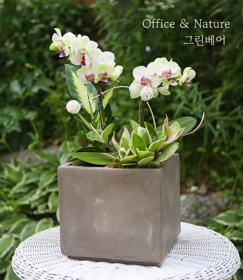 [Office & Nature] ׸ ()  ɹ