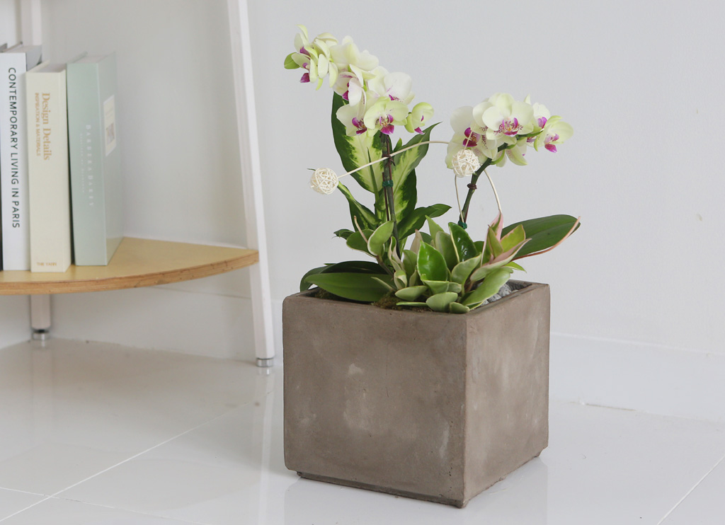 [Office & Nature] ׸ ()  ɹ