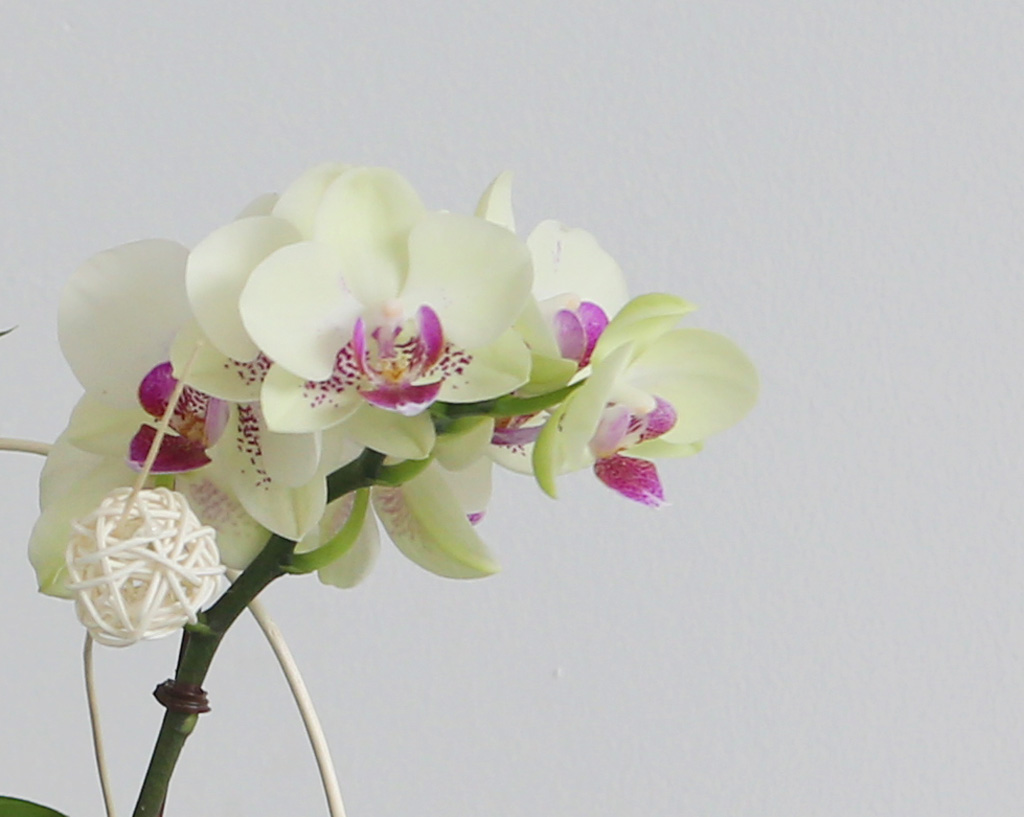 [Office & Nature] ׸ ()  ɹ