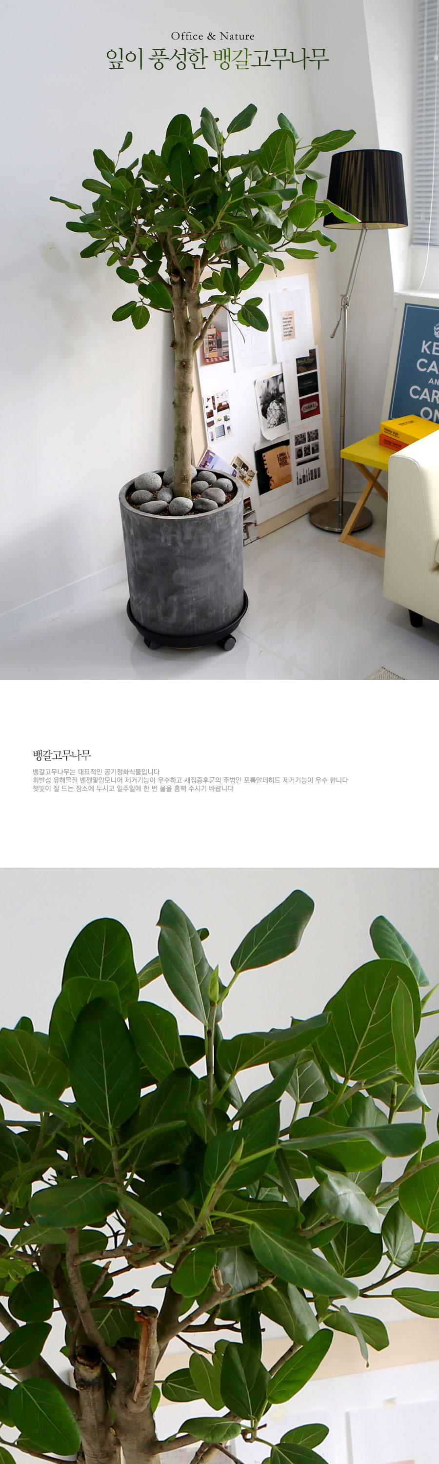 Office & Nature -  ǳ 𰥰 [ȭ⺯]  ɹ