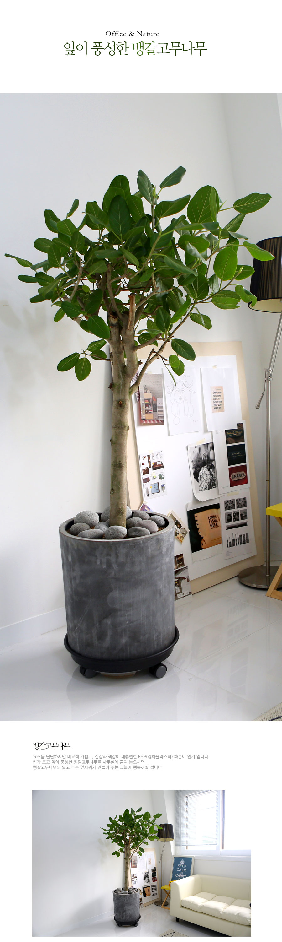 Office & Nature -  ǳ 𰥰 [ȭ⺯]  ɹ