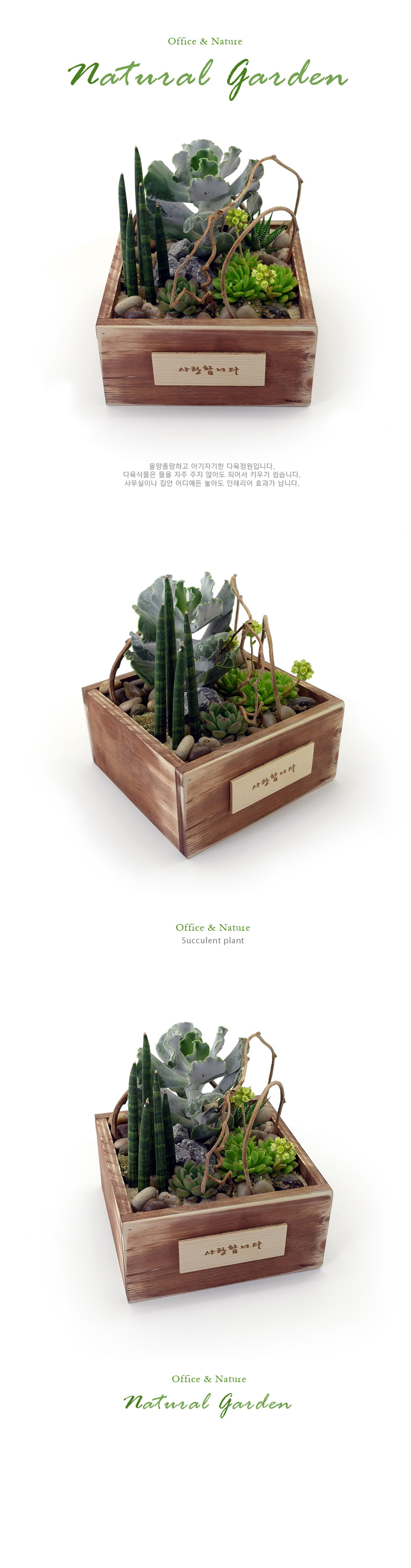 [] Office & Nature - Natural Garden(ȭǰ ٸȭ ü)  ɹ