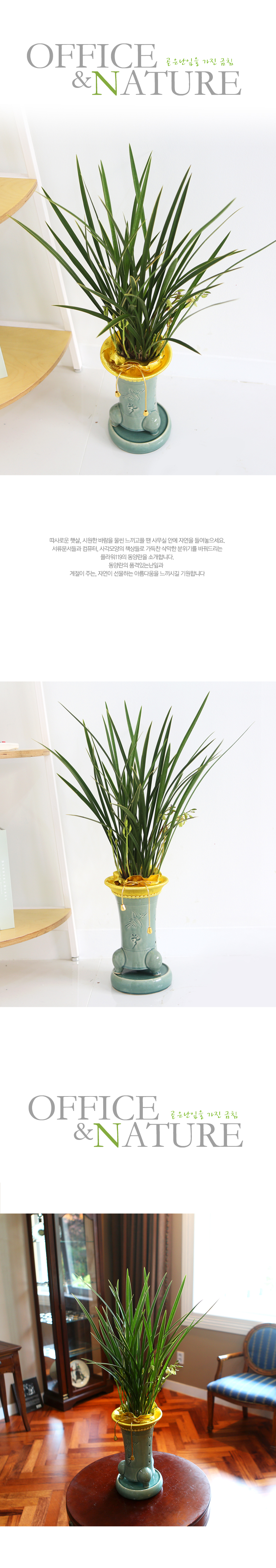 Office&Nature - °ðÀº ³ÀÙÀ» °¡Áø ±Ýħ