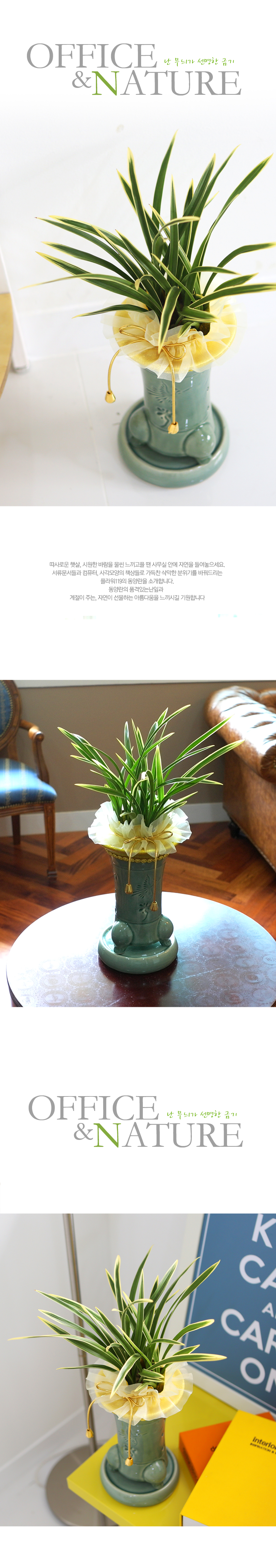 Office&Nature - ³ ¹«´Ì°¡ ¼±¸íÇÑ ±Ý±â