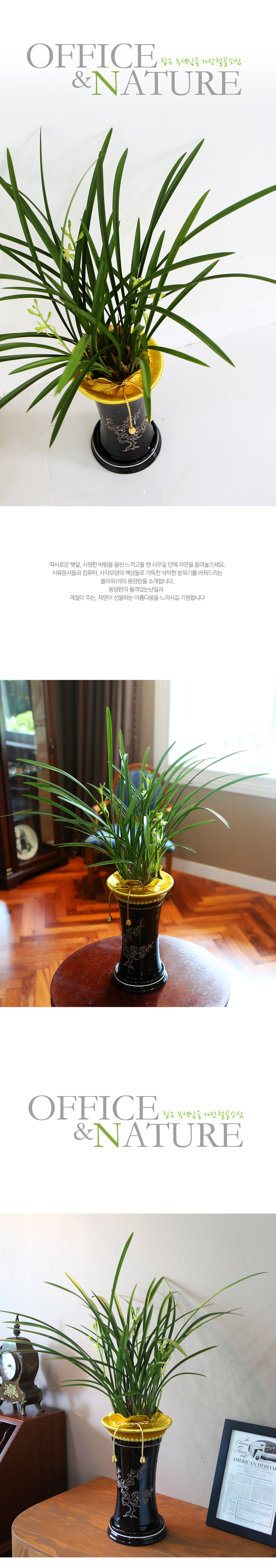 Office&Nature - £Àº ³ì»öÀÙÀ» °¡Áø ö°ñ¼Ò½É