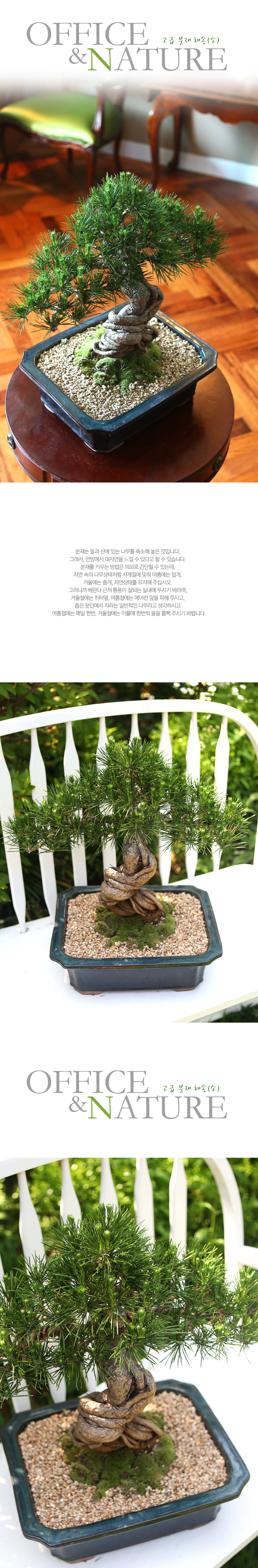 []Office&Nature - ޺ ؼ()  ɹ