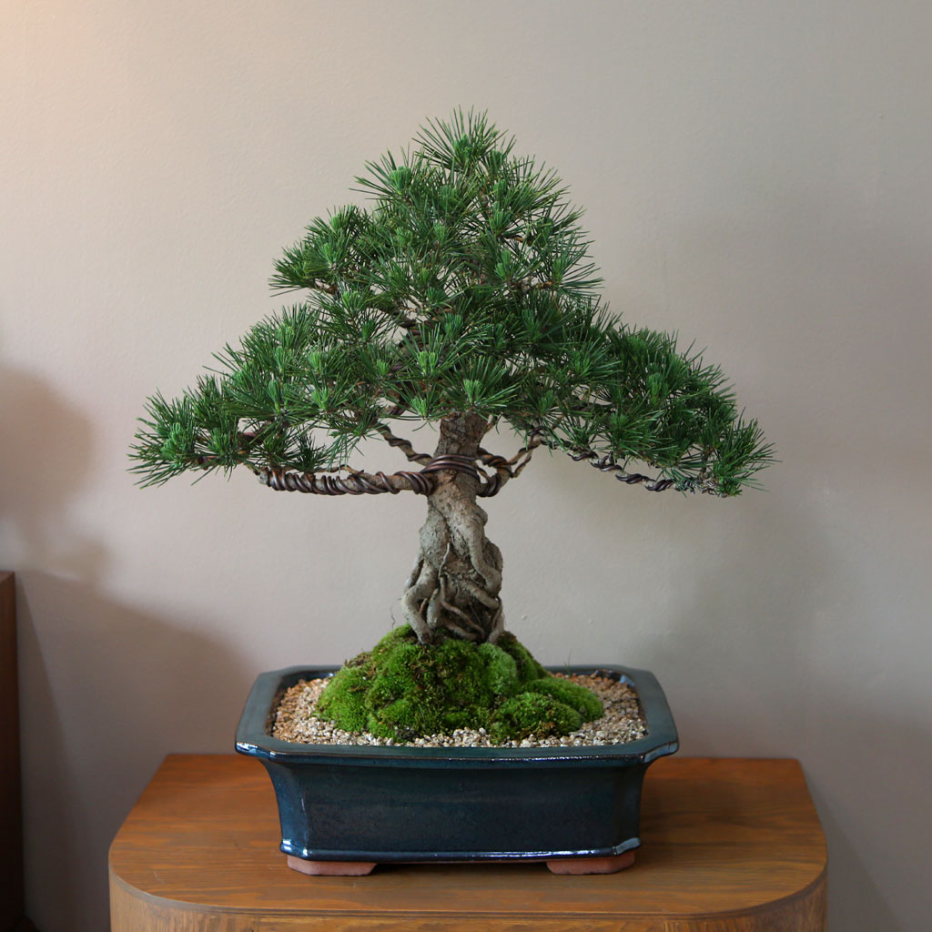 []Office&Nature - ޺ ؼ()  ɹ