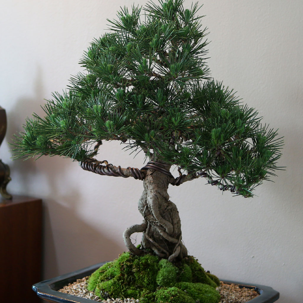 []Office&Nature - ޺ ؼ()  ɹ