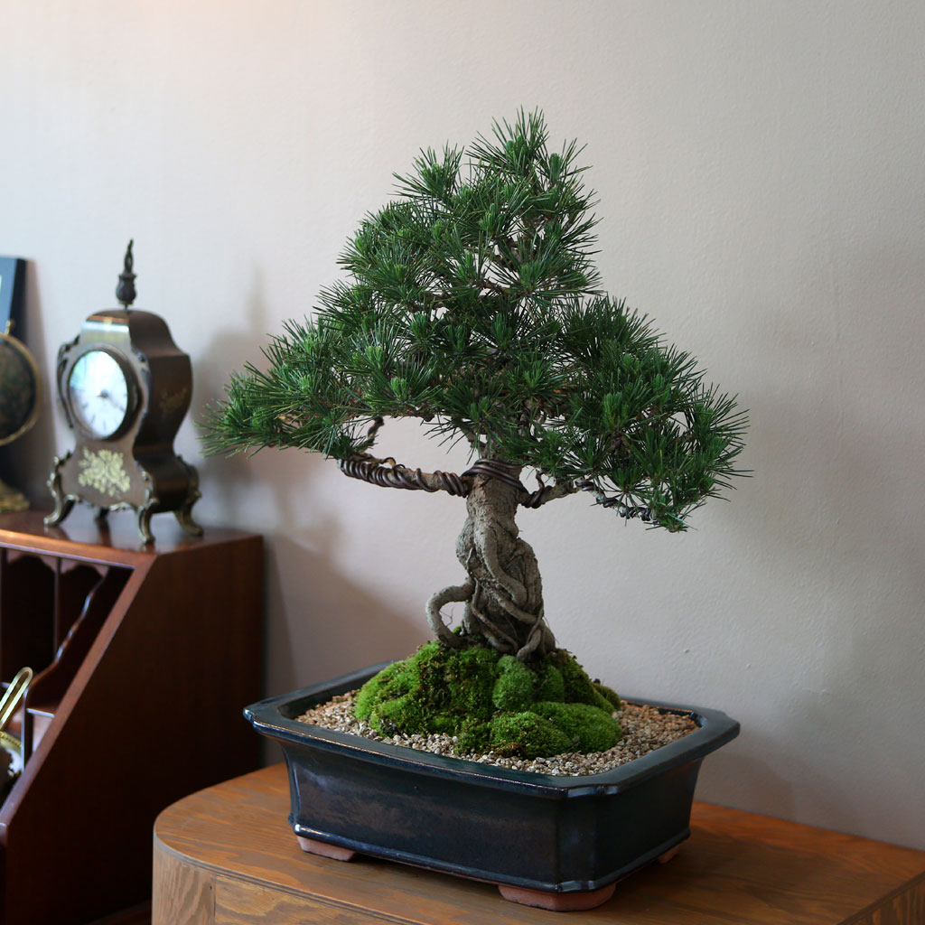 []Office&Nature - ޺ ؼ()  ɹ